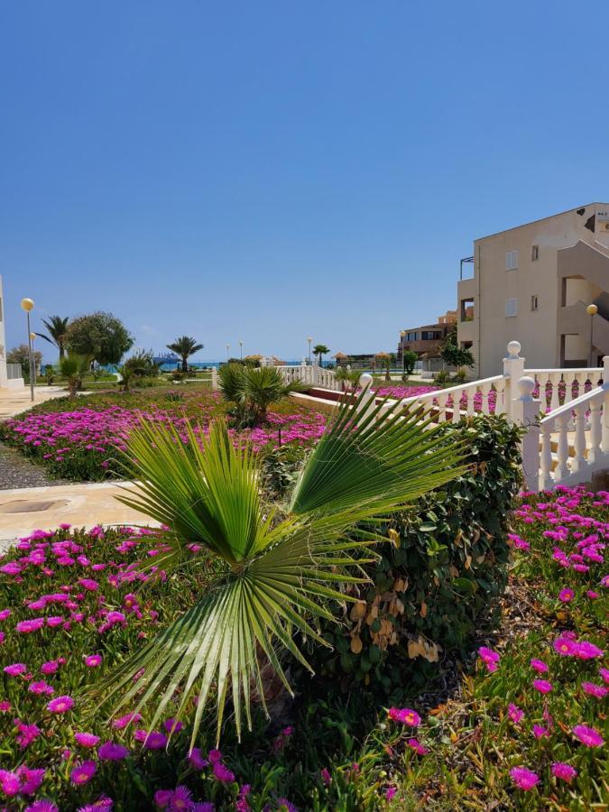 Duplex Espectacular En Primera Linea Naturista! Las Bombardas Kültér fotó
